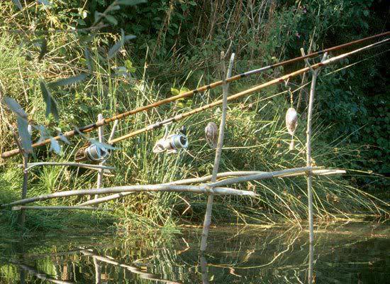 Diverse - 6254555022001498378051639245597n.jpg